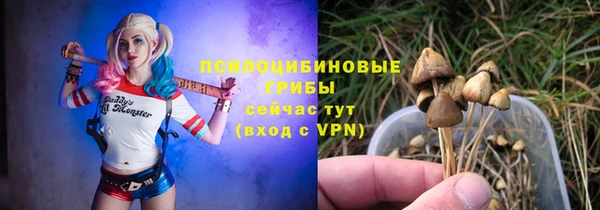 марки lsd Богородицк