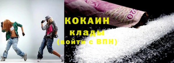 сатива Богданович