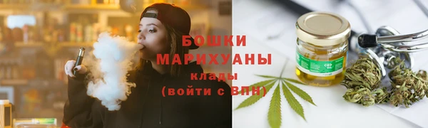 сатива Богданович