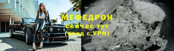 сатива Богданович